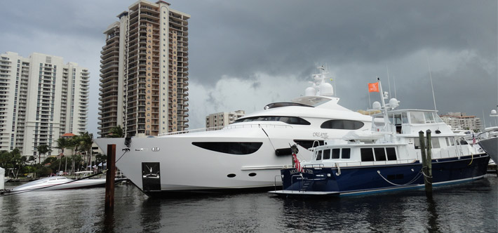 稳定不闪退的在线电话轰炸